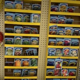 Dollar Tree - Discount Store Near Me - Modesto, California