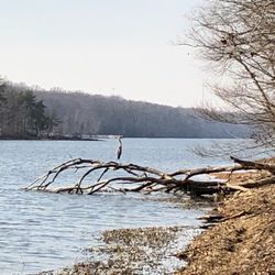 Burke Lake Park - The lake.