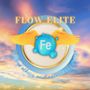 Flow Elite Plumbing & Hydronic Heating