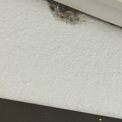 Mold growing above a door jam