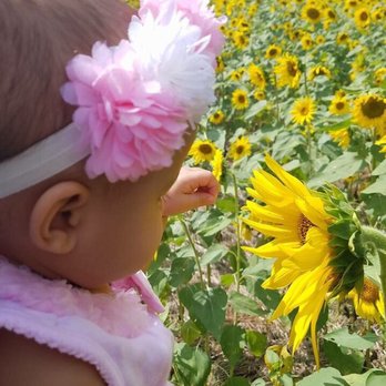 Bush-N-Vine Farm - Issa a beautiful baby, and a flower #LEWReviews #TheOriginalCharlestonian - Fruits & Veggies Near Me - York, South Carolina Bush-N-Vine Farm - Issa a beautiful baby, and a flower #LEWReviews #TheOriginalCharlestonian - Fruits & Veggies Near Me - York, South Carolina