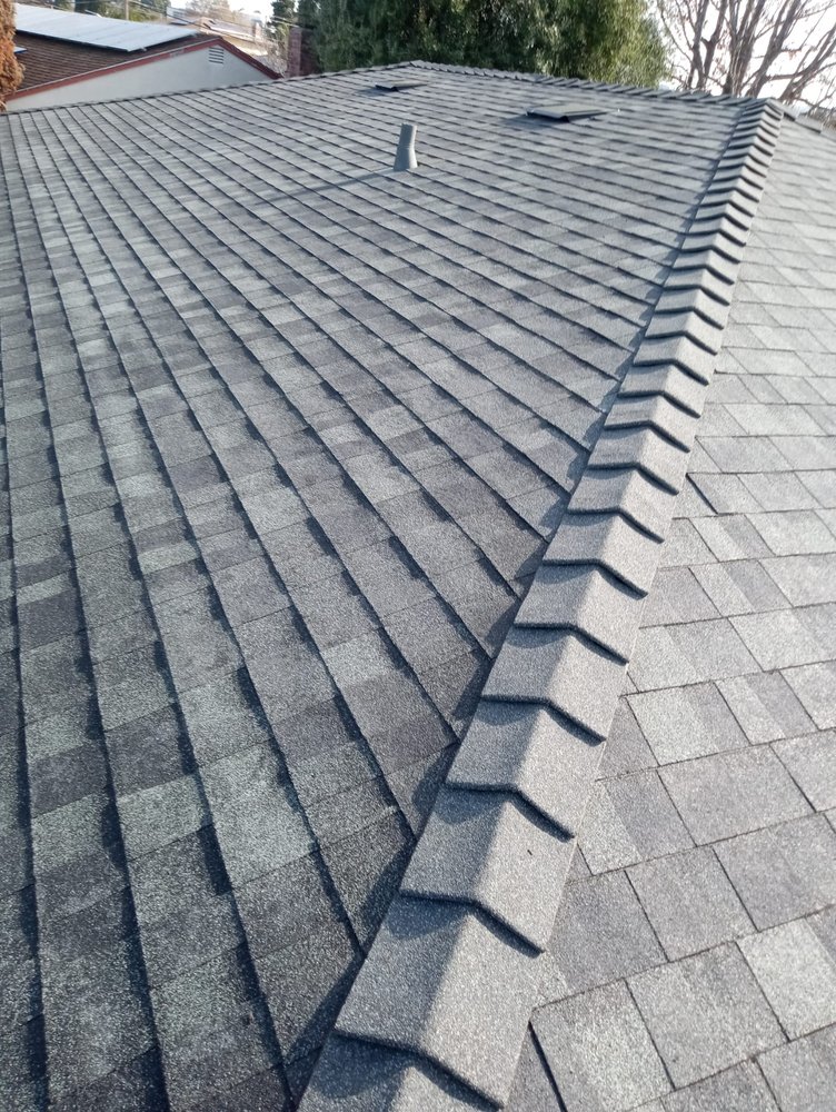 Slide of The Roofer Bros