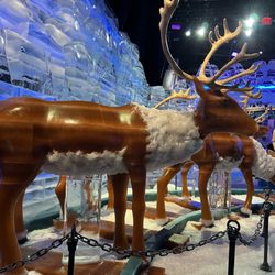 Ice The Polar Express in Nashville gift card