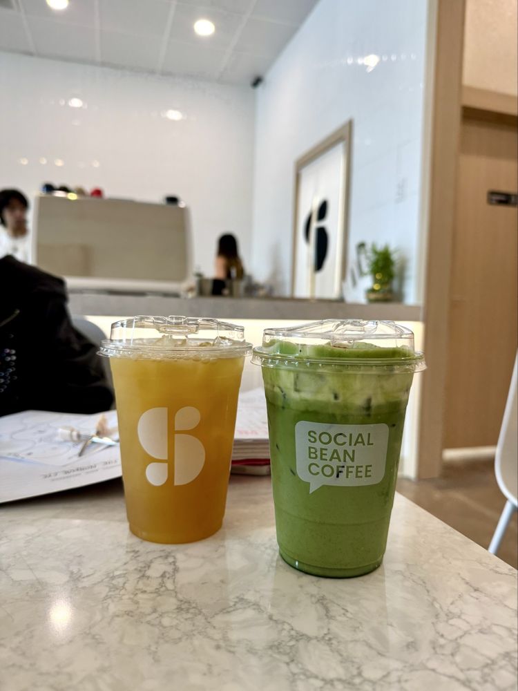 Social Bean Image