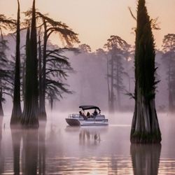 Caddo Lake - Big Cypress Tour