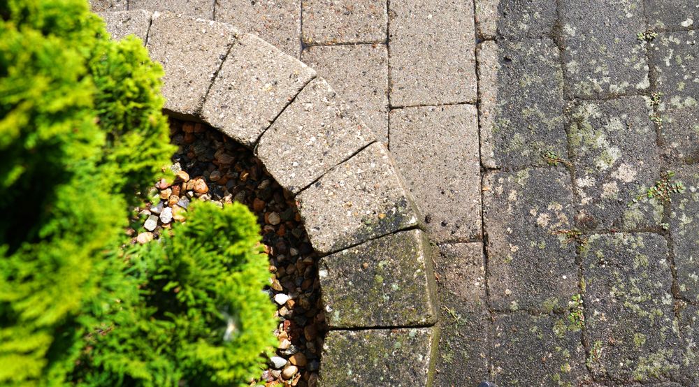 GREEN UP LAWN CARE Henrico, Virginia Window Washing Phone Number