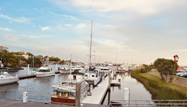 The Fish House by null