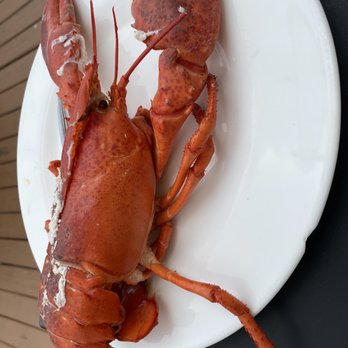 Nick's Lobster House - Free whole Lobster for national lobster day - Seafood Near Me - Brooklyn, New York Nick's Lobster House - Free whole Lobster for national lobster day - Seafood Near Me - Brooklyn, New York