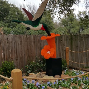 Dallas Zoo - Zoos Near Me - Dallas, Texas Dallas Zoo - Zoos Near Me - Dallas, Texas