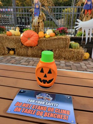 Smoky Mountain Alpine Coaster by null