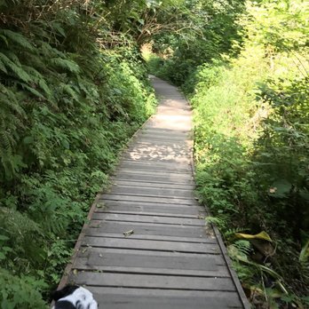 Tolmie State Park - Parks Near Me - Olympia, Washington