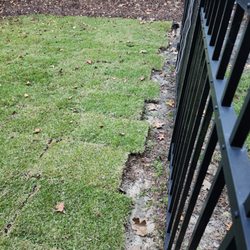 Sparta Lawn Care - Checkerboard where they neglected to put sod - claimed it was washed away