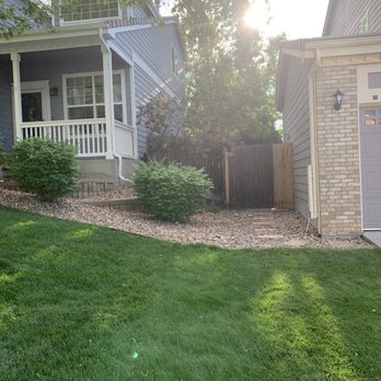 Man VS Treez - Tree Services Near Me - Aurora, Colorado