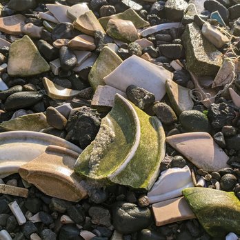 Point Isabel Regional Shoreline - ground is covered in old ceramics - Dog Parks Near Me - Richmond, California Point Isabel Regional Shoreline - ground is covered in old ceramics - Dog Parks Near Me - Richmond, California