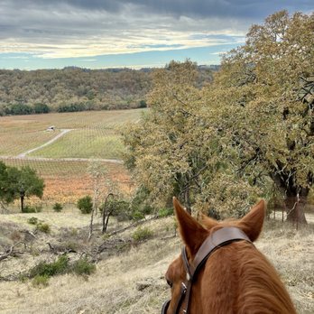 Chalk Hill Ranch - Horse Boarding Near Me - Healdsburg, California