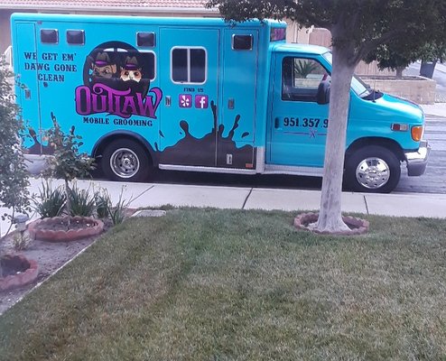 dawg gon mobile grooming