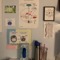DNS Colon Therapy