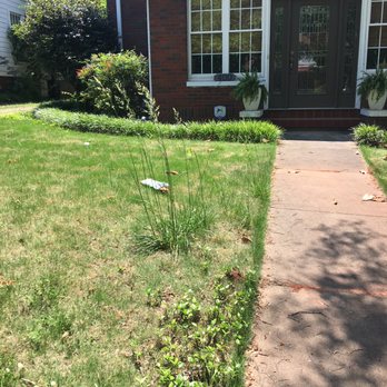 TruGreen Lawn Care - This is what your lawn will look like after 5-7 treatments with TruGreen of Birmingham! - Tree Services Near Me - Birmingham, Alabama TruGreen Lawn Care - This is what your lawn will look like after 5-7 treatments with TruGreen of Birmingham! - Tree Services Near Me - Birmingham, Alabama