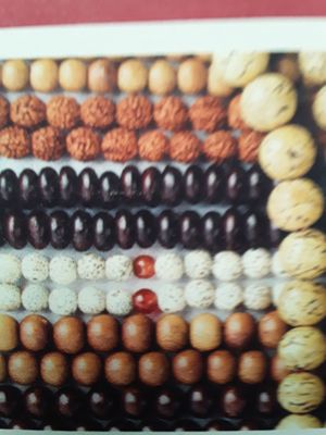 Tibetan Nuns Project