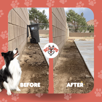 Scoops Pooper Scoopers - Before & After Poop Scooping in Dirt - Pet Waste Removal Near Me - Lancaster, California Scoops Pooper Scoopers - Before & After Poop Scooping in Dirt - Pet Waste Removal Near Me - Lancaster, California