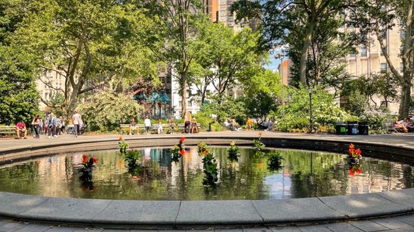 Madison Square Park by null