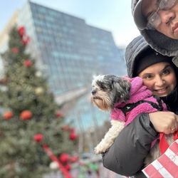 The Holiday Market at Snowport