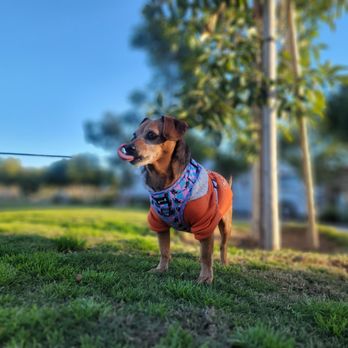 Richmar Park - Parks Near Me - San Marcos, California Richmar Park - Parks Near Me - San Marcos, California