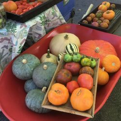 Mount Shasta Farmers' Market