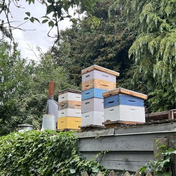 Le Marché St. George - Bee hives kept by the café - Cafes Near Me - Vancouver, British Columbia Le Marché St. George - Bee hives kept by the café - Cafes Near Me - Vancouver, British Columbia