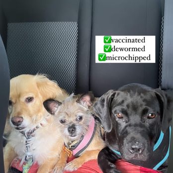 Emancipet - Veterinarians Near Me - Austin, Texas
