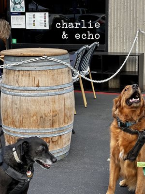 Charlie & Echo by null