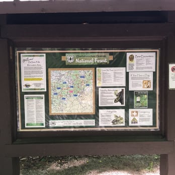 DeSoto Falls - Info - Hiking Near Me - Dahlonega, Georgia