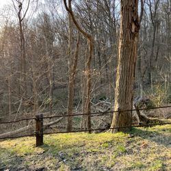Sewickley Heights Borough Park - Dog friendly park.