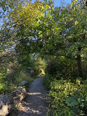Saugerties Lighthouse by null