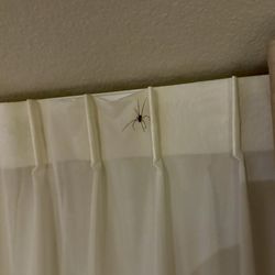 Comfort Suites - SPIDER