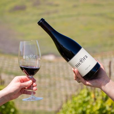 Nicora Winery by null