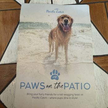 Pacific Catch - Dog menu - Seafood Near Me - Cupertino, California