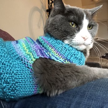 Austin Cat Sitters - Pet Sitting Near Me - Austin, Texas