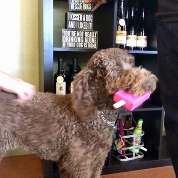 Mutt Lynch Winery - Wineries Near Me - Windsor, California