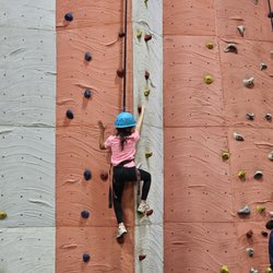Cedar Springs Camp - Rockwall