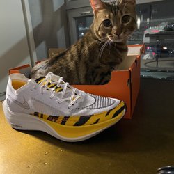 South End Athletic Company