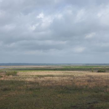 Paynes Prairie Preserve State Park - Parks Near Me - Micanopy, Florida