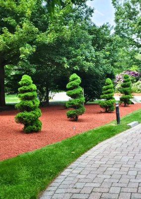 Landscaping & Hardscaping Services - Transform your yard into a stunning oasis with CM Landscaping Services. Enjoy a carefree, picture-perfect lawn with our affordable lawn care & landscaping services. Landscaping & Hardscaping Services - Transform your yard into a stunning oasis with CM Landscaping Services. Enjoy a carefree, picture-perfect lawn with our affordable lawn care & landscaping services.