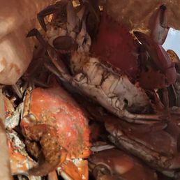 Male crabs light seasoning in the bag that we tore open and started eating.