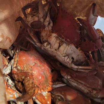 GotCha Hooked Seafood - Male crabs light seasoning in the bag that we tore open and started eating. - Seafood Markets Near Me - Woodbridge, Virginia