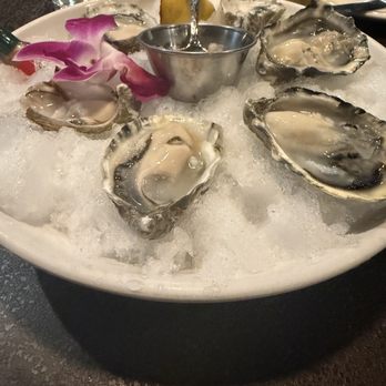 The Owl Tavern - Half dozen oysters.. with a cucumber tobasco sauce mix, super good! - Steakhouses Near Me - Grass Valley, California The Owl Tavern - Half dozen oysters.. with a cucumber tobasco sauce mix, super good! - Steakhouses Near Me - Grass Valley, California