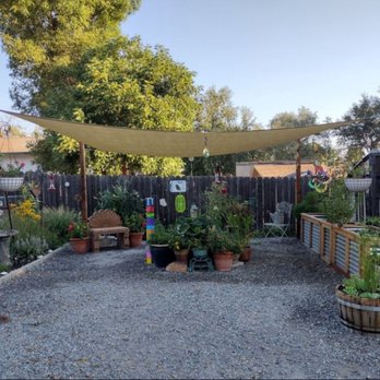 Wyntour Gardens - My Butterfly, Hummingbird garden and pond (in center). - Nurseries & Gardening Near Me - Redding, California