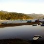 Photo of 翠華園藝燒烤場
