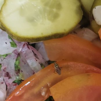 Shawarma King Buffet - Buffets Near Me - Kalamazoo, Michigan Shawarma King Buffet - Buffets Near Me - Kalamazoo, Michigan