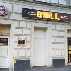 Bull - Daytime view